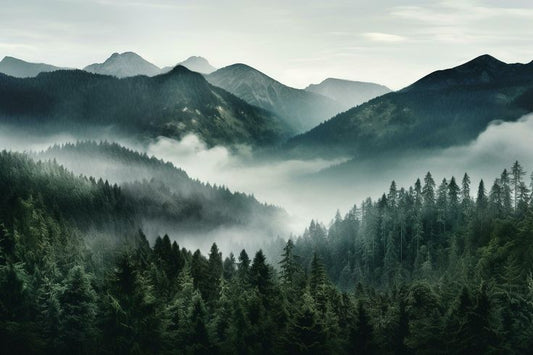 Outdoor-Abenteuer in der Schweiz: Die perfekte Ausrüstung für jedes Terrain