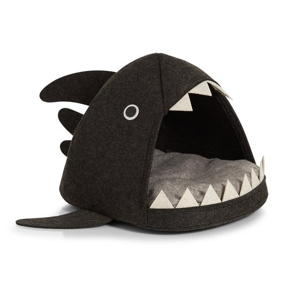 cat basket shark