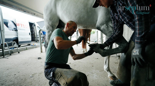 Gesunde Hufe, glückliches Pferd: Warum Arseptum Longtime® unverzichtbar ist - Bodyguard-shop