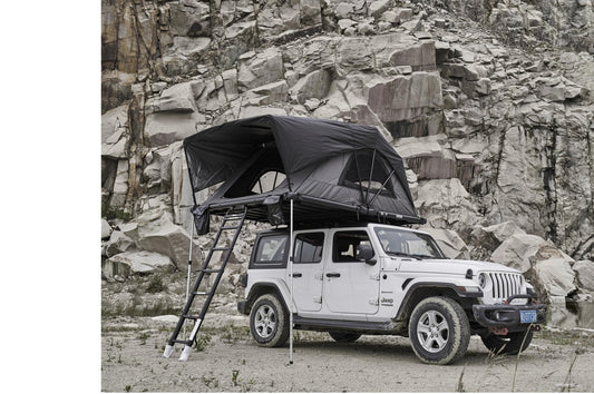 Ladder Wild Cruiser Pro 160/250