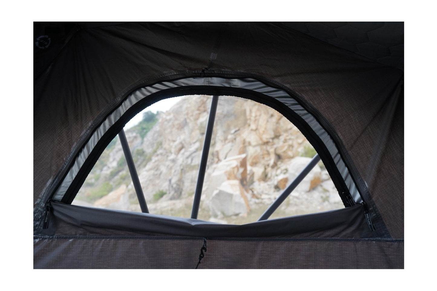 Wild Cruiser Pro 250